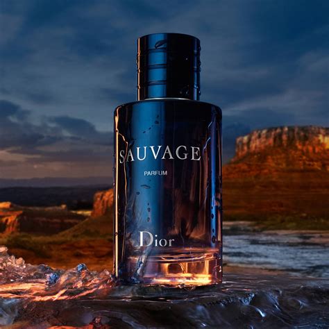 dior eau sauvage sport|Dior Sauvage parfum 100ml price.